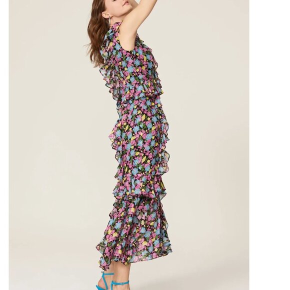 AMUR Evita Dress in Black Anemone Floral size 6 - Picture 5 of 10